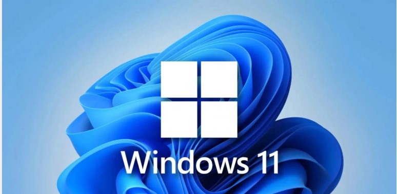 Velocizzare Windows 11